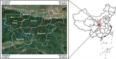 Genetic Structure and Evolutionary History of Rhinopithecus roxellana in Qinling Mountains, Central China